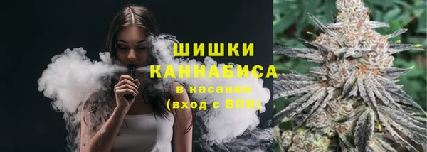 шишки Михайловск