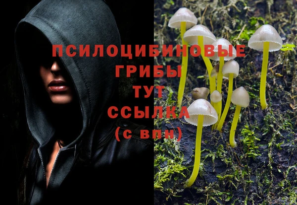 ALPHA PVP Михайловка
