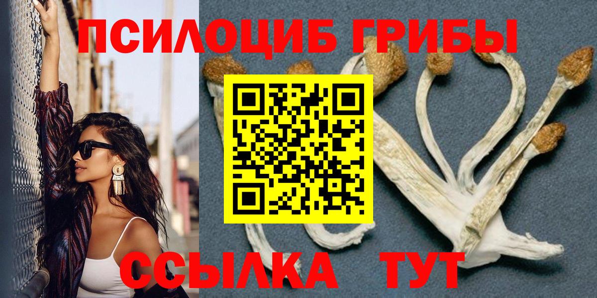 Галлюциногенные грибы Psilocybine cubensis  Псилоцибиновые грибы мицелий  Вход с VPN  Отрадный 